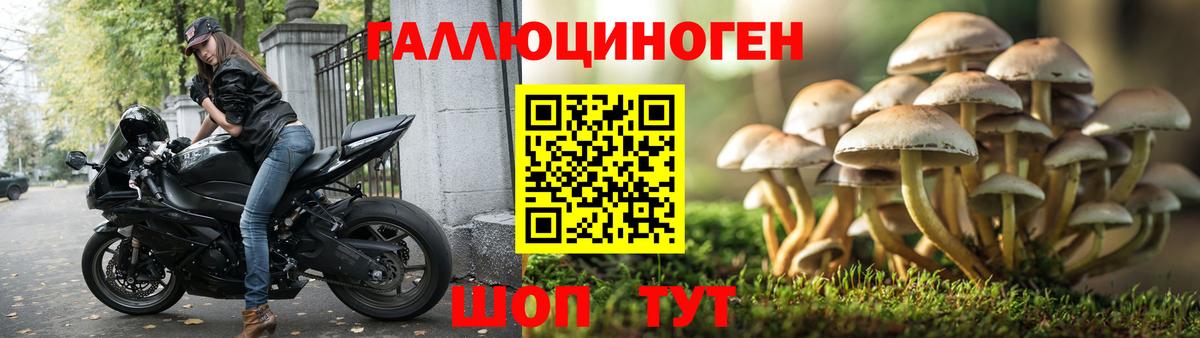 Псилоцибиновые грибы MAGIC MUSHROOMS Нижний Новгород