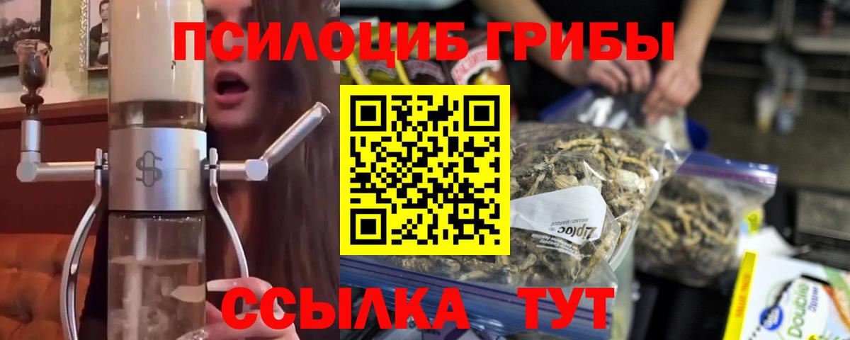 Галлюциногенные грибы MAGIC MUSHROOMS  Псилоцибиновые грибы мицелий  Нижний Новгород  Вход с VPN 